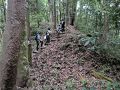 明智城（あけちじょう）