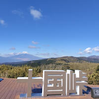 横浜、箱根、南伊豆（観光編）