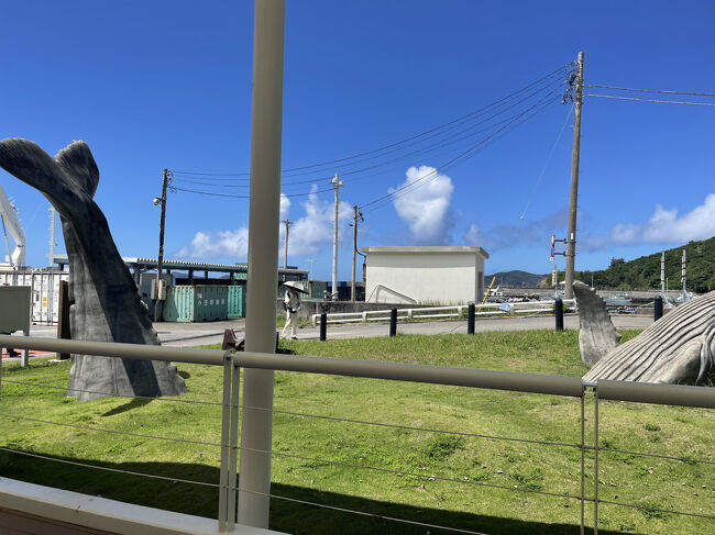 小笠原に到着して3日目は日帰りで母島に行きました。<br /><br />父島を7時半に出港し母島着は2時間後の9時半。<br />帰りは14時母島出港なので滞在時間は4時間のみ。<br /><br /><br />母島でもツアーに参加しようと思っていたんだけど、ガイドさんの予定が埋まっていたり一人参加不可と注意書きがあったりして早々に諦めてしまいました。<br /><br />直接連絡すれば何とか予約出来たかもしれないけど、父島ではずっとツアーに参加しっぱなしだったのでこの日くらい一人自由に行動しようかな?と思い母島に行ってから考えよ~という安易な考えでございました。<br /><br /><br />