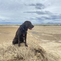 プチタスマニア便り。。。前編