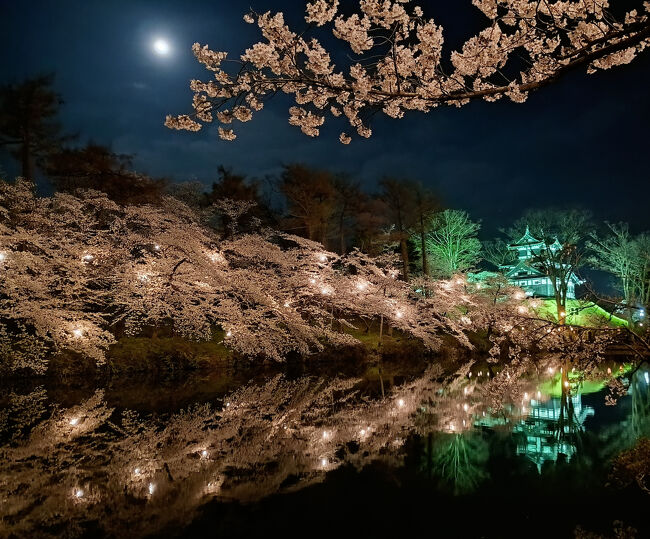 桜旅④ 日本三大夜桜 高田城址公園(第100回高田城址公園観桜会・柏露酒造蔵開き・原酒造蔵開き）