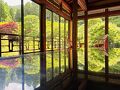 新緑の青もみじが美しい「環境芸術の森｣  と あじさい祭りの｢見帰りの滝｣