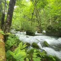 北東北 青森 【別冊２】奥入瀬渓流散策・星野リゾート 奥入瀬渓流ホテル・十和田湖　編