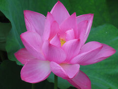 2025年 二度目の中国出張 (１０) 蘇州市　その３　怡園と蘇州博物館