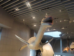 2025年 二度目の中国出張 (１４) 上海 その２ 上海自然博物館