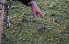 マサイマラ国立保護区