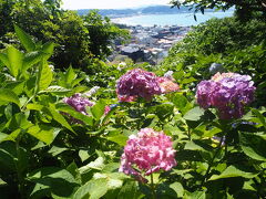 2025夏旅　紫陽花と江ノ電の2泊3日①