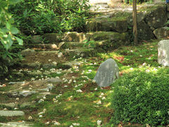 兵庫県福崎町観光。應聖寺の沙羅、あじさいの小道、妖怪ベンチ（2025年6月20日）