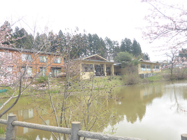 昨年9月に続いて4月18日から3泊4日の湯治旅で、日本一しよっぱい温泉として知られる「森岳温泉」に。泊りは前回と同じく「森岳温泉ゆうぱる」、桜が綺麗に咲き誇る「惣三郎沼公園」に隣接する好立地です。湯治用ホテルで食事はありませんが毎日いつでも温泉をゆっくりと利用出来て気持ち良いです。今回は観光は一度だけ八郎潟干拓地にある「桜・菜の花ロード」に出かけました。ホテルから車で30分程にあり、道路の両側が菜の花と桜で覆われて美しかったです。のんびりとした寛げる湯治旅でした。