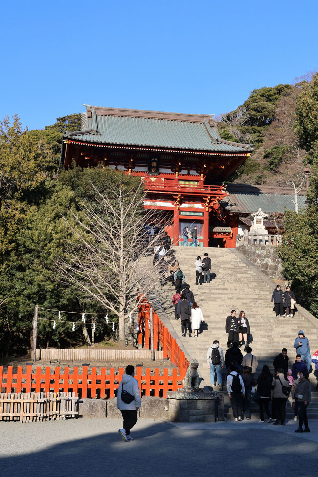 銭洗弁財天宇賀福神社や海蔵寺、寿福寺、鶴岡八幡宮などへ行きました。