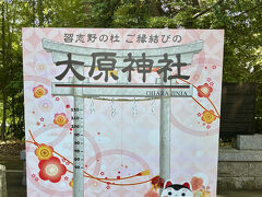 【パワスポ巡り】夏至の日の茅の輪くぐりで開運神社参拝