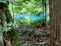 山形県の旅行記