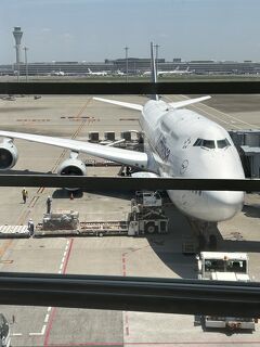 初めて1人参加でドイツ旅行に行ってきました！初日編