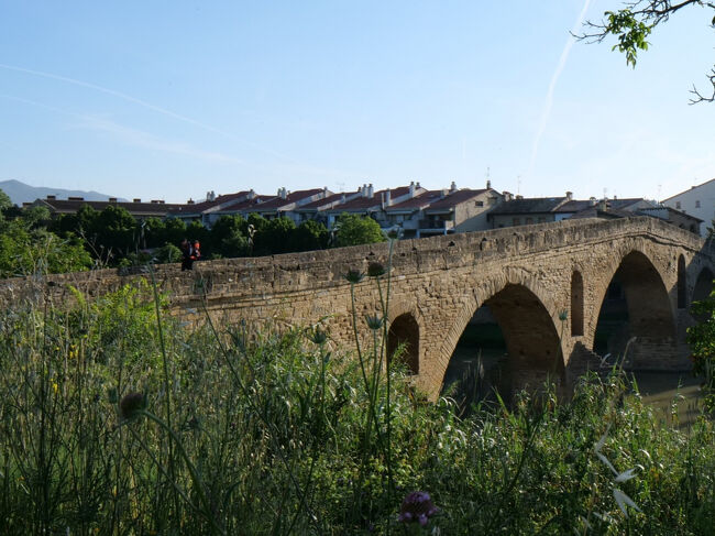 ピレネーを越え、メセタを往く 16日間の巡礼記　6/16 日目