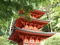 紫陽花が見納めの岩船寺～般若寺へ