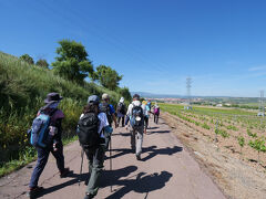 ピレネーを越え、メセタを往く 16日間の巡礼記　9/16 日目