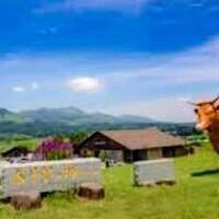 【熊本 玉名温泉・和と洋の大浴場 ホテルしらさぎ】有明フェリーで行く南阿蘇村 + 玉名市 (夏物語)