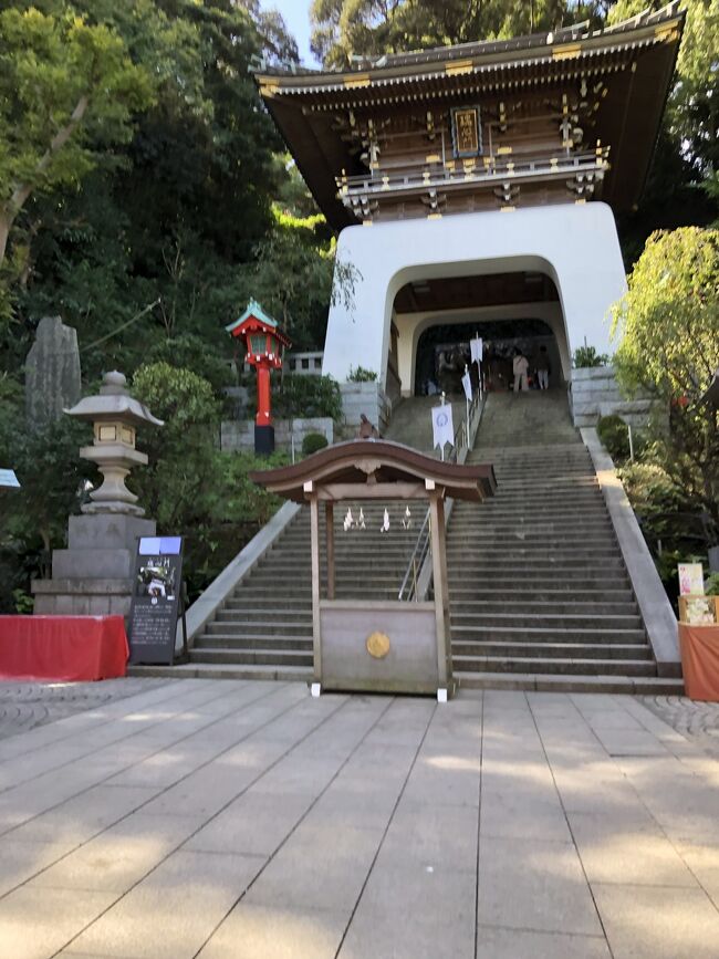 実家の荷物の中空出てきた 岩本楼の古い絵葉書を見て<br />行って見たいと強く思い 桜木町駅から江ノ島へ行きました<br /><br />その後 鎌倉大仏 鶴岡八幡宮へ