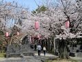 大山緑地の「千本桜」を見て、半田の海沿いをおさんぽコースに参加