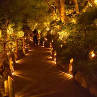 ホタル見に椿山荘　202505椿山荘③