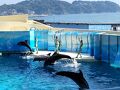 江ノ島の魅力再発見