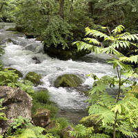 二泊三日　青森旅行　②　奥入瀬渓流ホテル～青森市内