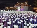 2024～2025年/年越しセブ旅行 3日目　ホテル移動でマクタン島へ＆10000ROSESイルミ