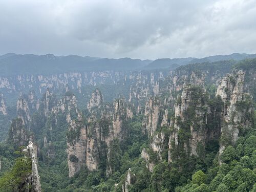 中国の旅 張家界 武陵源森林公園編 前半』張家界(中国)の旅行記