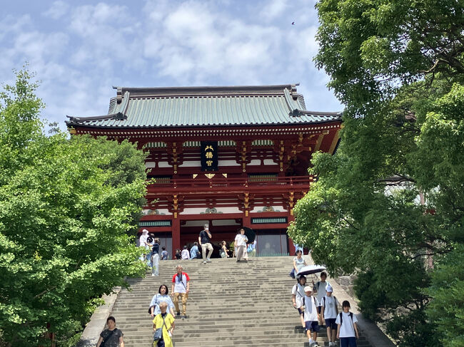 大船・鎌倉散策　長谷寺・鶴岡八幡宮