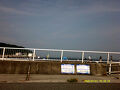 豊浜釣り桟橋７月　まだ大きくならないアジ