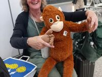 アラフィフがパッケージツアーでまわるボルネオ12日間 Day 11