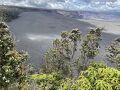 2024年5月ハワイ島8日目　ハワイ火山国立公園 ハイキング