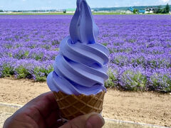 今年も北海道島流し2か月　五回目の休日は富良野のラベンダー　去年は遅すぎでしたが今年は真っ盛りでした