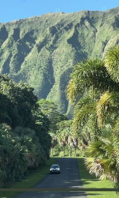2025年1月ハワイ14泊16日　娘と孫との家族旅行 10日目 オアフ島の絶景 ホオマルヒア植物園