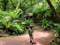 2025年6月 4歳児と暑い沖縄に行ってきた③【美ら海水族館・DINO恐竜PARKやんばる亜熱帯の森など】