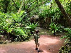 2025年6月 4歳児と暑い沖縄に行ってきた③【美ら海水族館・DINO恐竜PARKやんばる亜熱帯の森など】