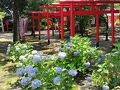 小田さん四日市ぼっち参戦記。～二日目～からのたまアリ小田さんまで