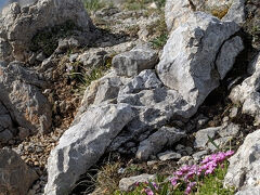 ハイキング・登山