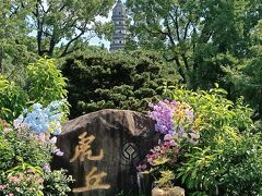 銀婚式の記念旅行は、新婚旅行で訪ねた上海＆蘇州への旅　≪後編　猛暑の中蘇州オプショナルツアー日帰り旅≫