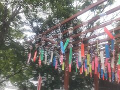 七夕でない7月7日～もうすぐ山笠の博多と風鈴の寺へ