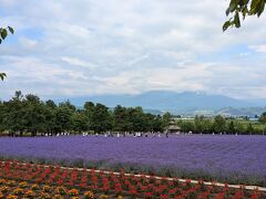 2025/07富良野旅②