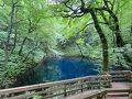【どこかにマイルで行く】秋田と五城目市神祭、五能線の旅（３日目①）リゾートしからみ橅編成と十二湖青池