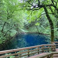 【どこかにマイルで行く】秋田と五城目市神祭、五能線の旅（３日目①）リゾートしからみ橅編成と十二湖青池