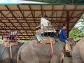 　癒し旅チェンマイ　最終日