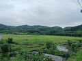 日和田山と巾着田