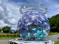 高野山龍神スカイラインへドライブ・紫陽花園　有田川・あらぎ島へ