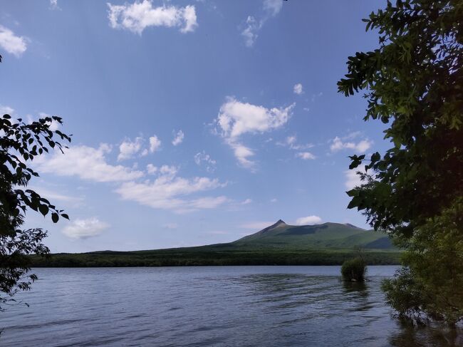 しばらく旅行してないと日々がいらいらしてくるので、飛行機旅行はガス抜き。<br />4か月前からJALのビッグセールでたまたまゲットできたのを目指して、健康づくり。<br />めでたく旅行日程では病気も快復したので行ってこれました。<br /><br />1日目) 羽田空港 ⇒ 函館空港 ⇒ ホテル 風呂・ごはん・寝る<br />2日目) 朝ごはん ⇒ JR函館駅 ⇒ JR大沼公園駅 ⇒ 自転車レンタル ⇒ 大沼サイクリング ⇒ JR普通電車で帰る ⇒ 昼寝 ⇒ バスで函館山 ⇒ 函館山 ⇒ ロープウェイで下山<br />3日目) 朝ごはん ⇒ チェックアウト・荷物預ける ⇒ 市電で青柳町 ⇒ 函館山公園の遊園地・動物園 ⇒ 市電でホテルまで戻り荷物ピックアップ ⇒ JR函館駅でお弁当購入 ⇒ シャトルバスで空港へ ⇒ 函館空港<br /><br />宿泊 函館国際ホテル
