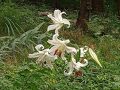 千葉県の旅行記