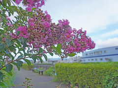 自然・動植物