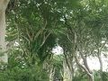 自転車旅行（パリスタートでツールドブリテン）３５日目